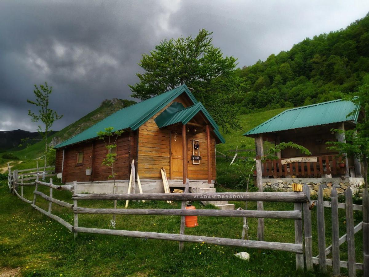 Rakovic Katun - Biogradska Gora Accomodation Vila Berane Exterior foto