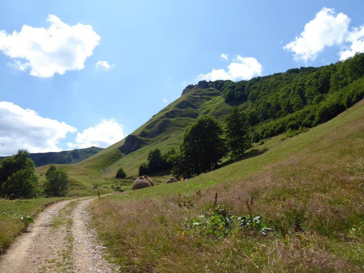 Rakovic Katun - Biogradska Gora Accomodation Vila Berane Exterior foto