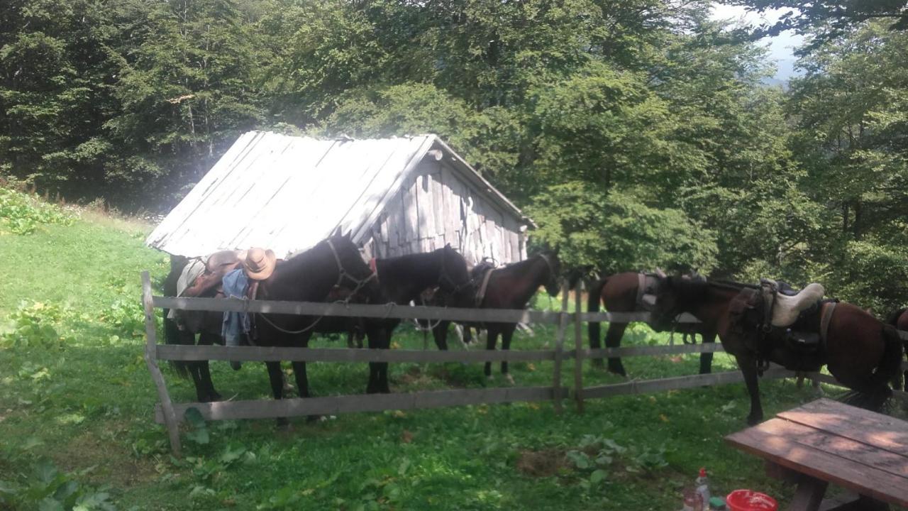 Rakovic Katun - Biogradska Gora Accomodation Vila Berane Exterior foto